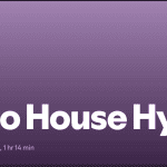 Disco House Hybrids Playlist